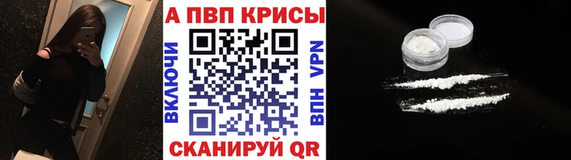 A PVP крисы CK  Злынка 