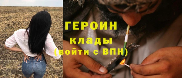гидра Бородино