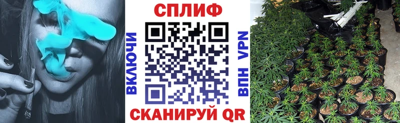 Канабис план  как найти закладки  Злынка 